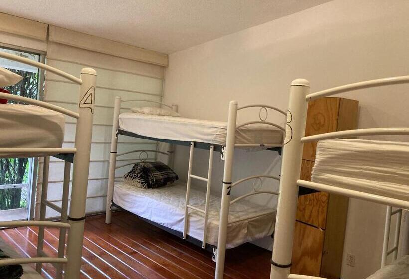 Общежитие Hostal Cuija Coyoacán