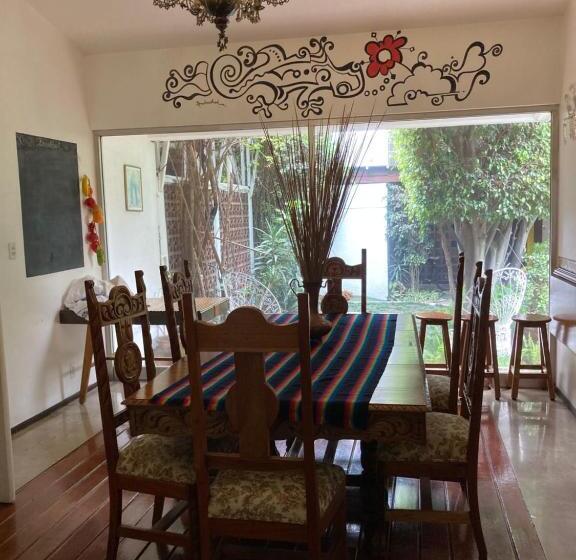 Общежитие Hostal Cuija Coyoacán