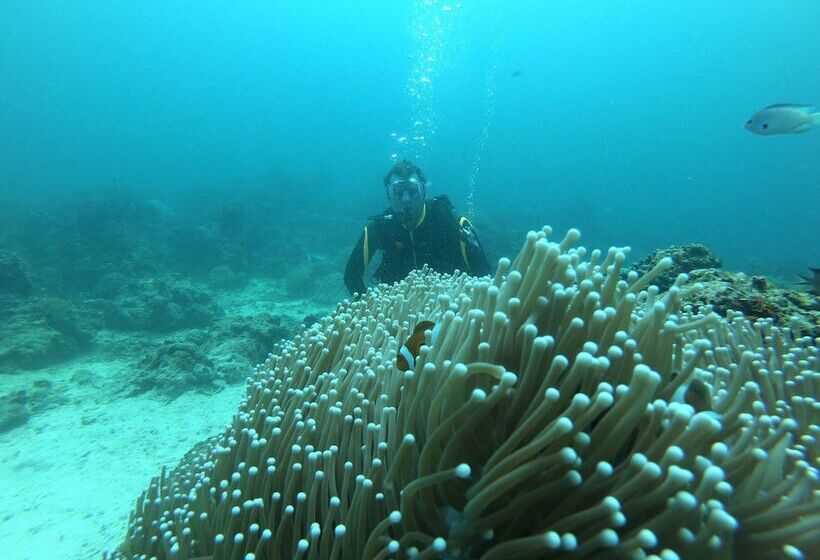 Calypso Beach & Dive Resort