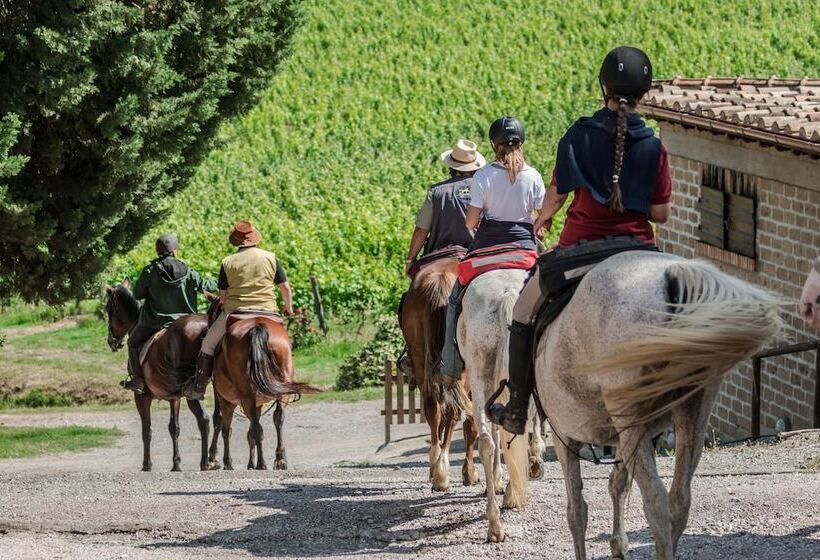 호텔 Agriturismo Palazzo Bandino   Wine Cellar, On Reservation Restaurant And Spa