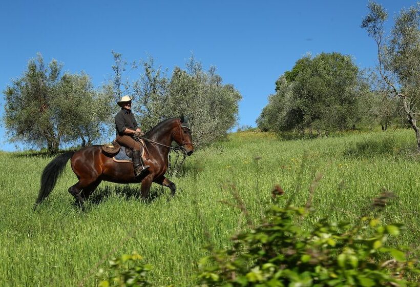 호텔 Agriturismo Palazzo Bandino   Wine Cellar, On Reservation Restaurant And Spa