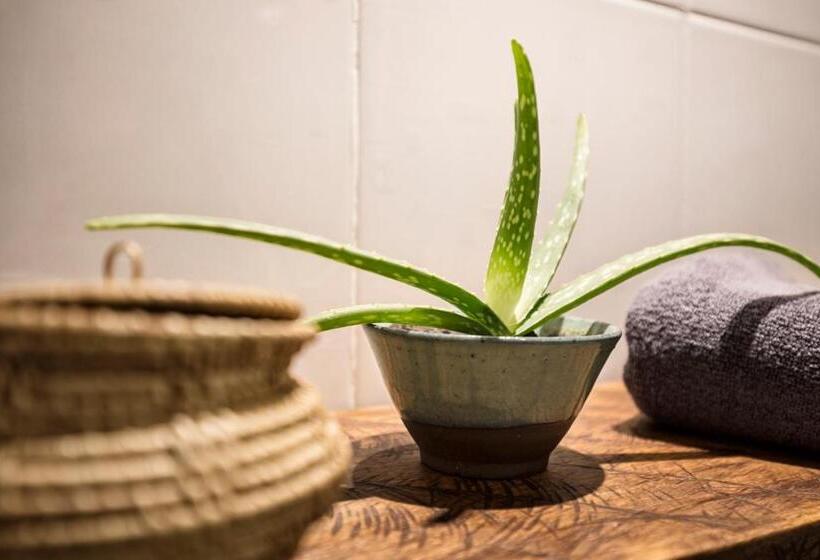 בית מלון כפרי Babel Siem Reap Guesthouse