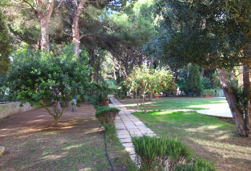 Отель Cala Dei Pini