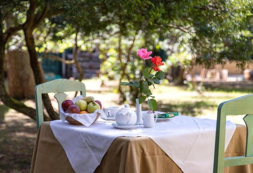 Отель Cala Dei Pini