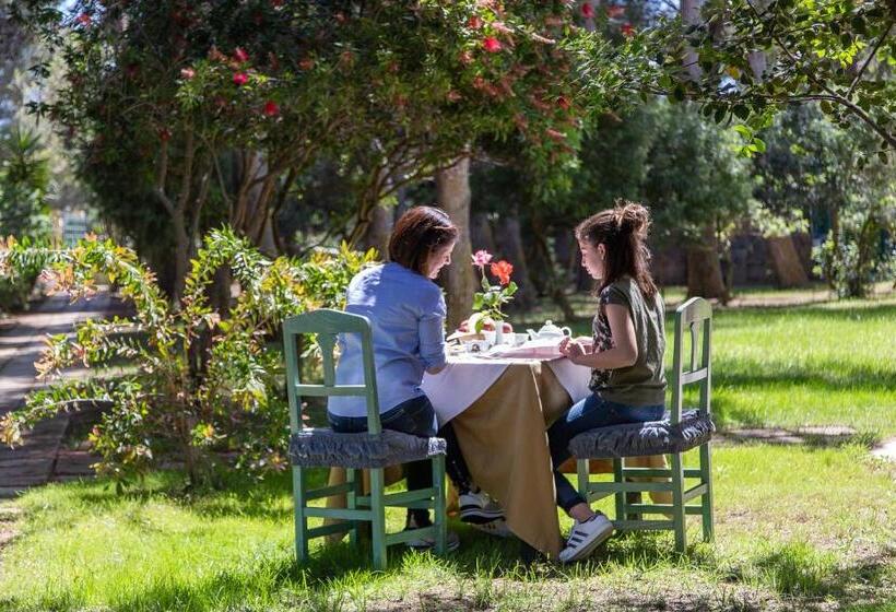 Отель Cala Dei Pini