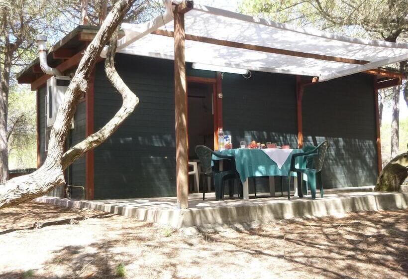 Отель Camping Village Li Nibari