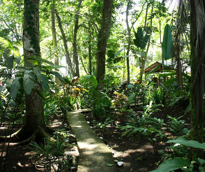 Отель Casa Camarona