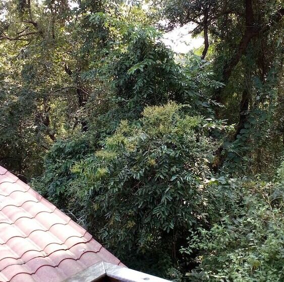 בית מלון כפרי Castle House Palolem