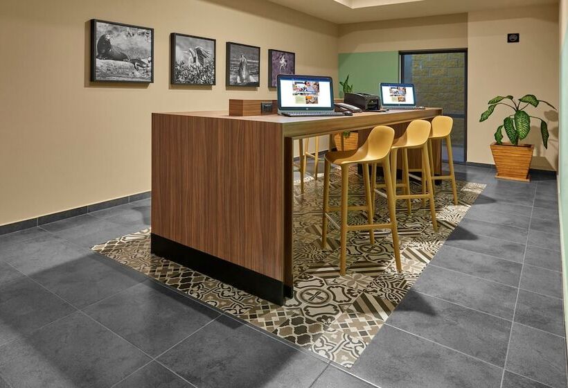 酒店 City Express Suites By Marriott Cabo San Lucas