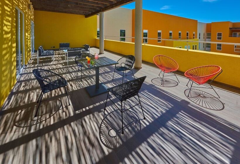 酒店 City Express Suites By Marriott Cabo San Lucas