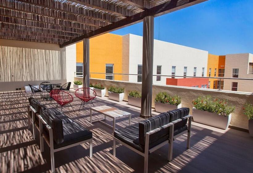 酒店 City Express Suites By Marriott Cabo San Lucas