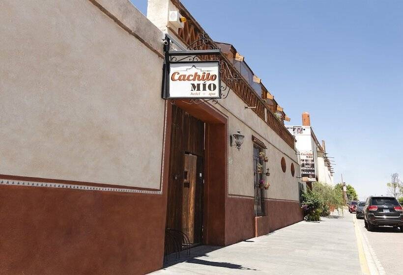 酒店 Collection O Cachito Mio