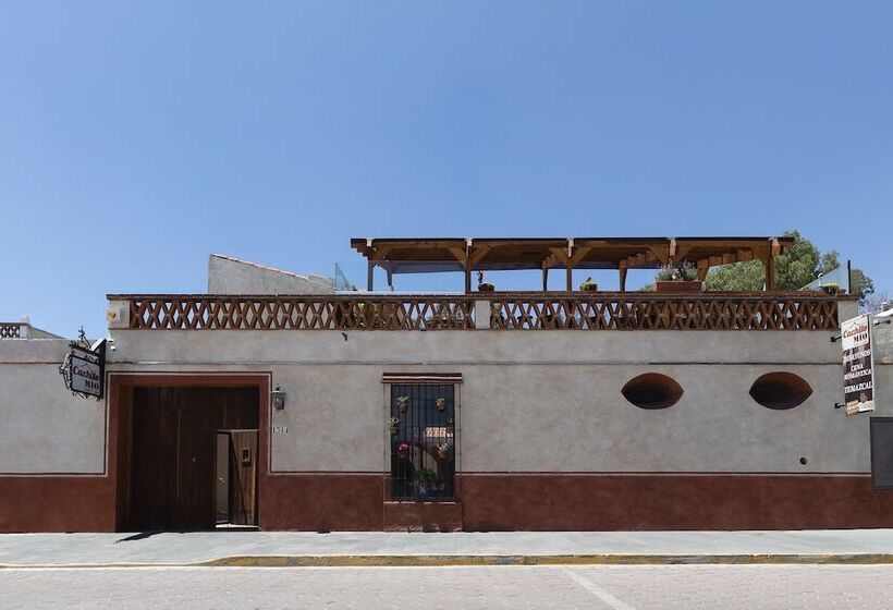 酒店 Collection O Cachito Mio