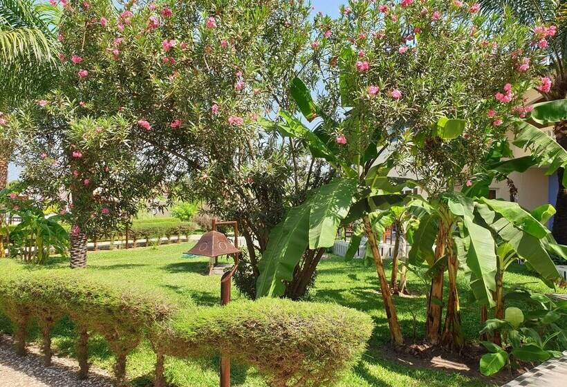 هتل Djeliba Resort