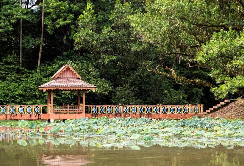 Отель Flemington