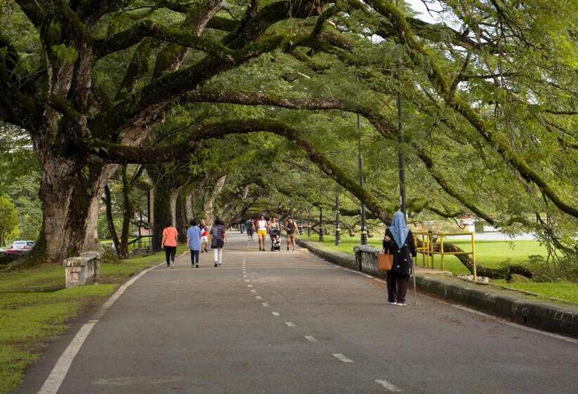 Отель Flemington