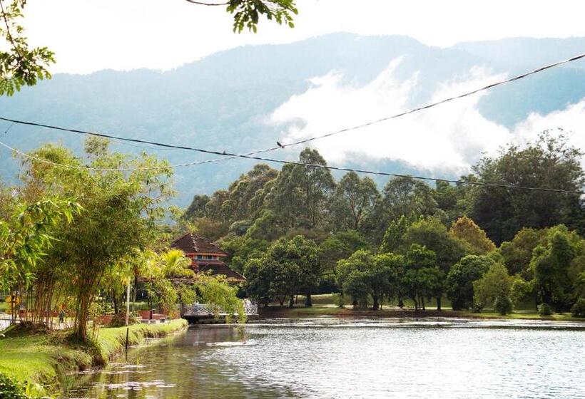 Отель Flemington