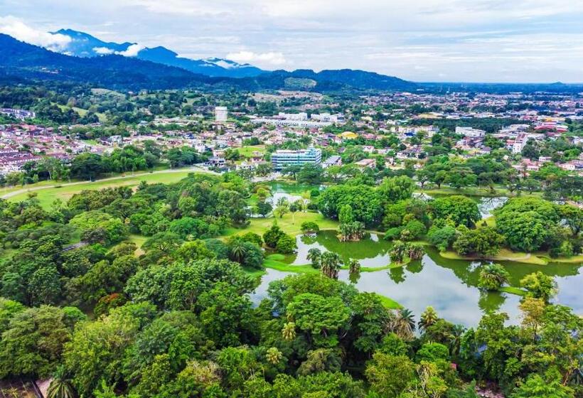 Отель Flemington