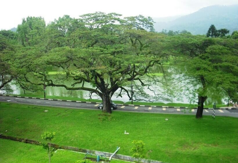 Отель Flemington