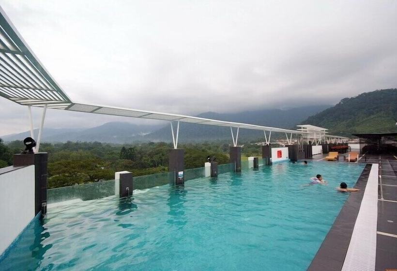 Отель Flemington