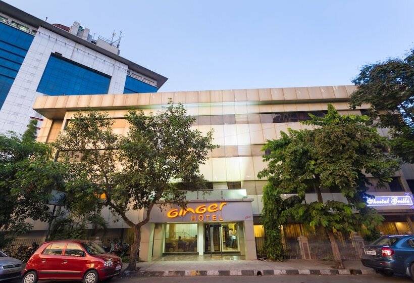 בית מלון כפרי Ginger  Thane