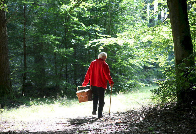 בית מלון כפרי Dancamps Hampen