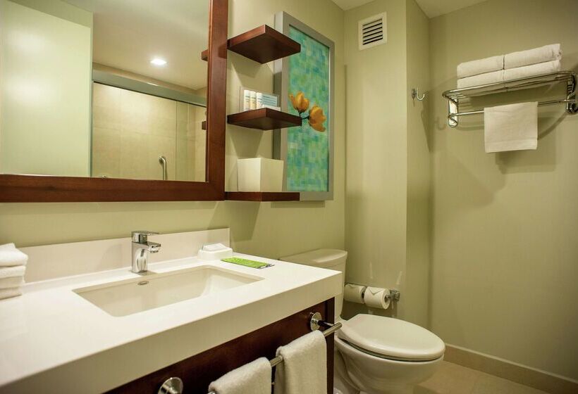 Отель Hampton Inn By Hilton Merida