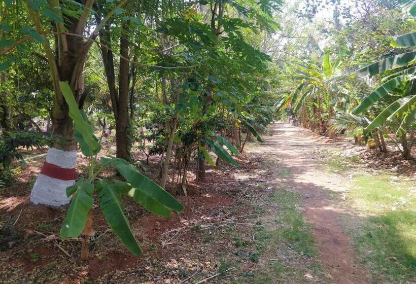 هتل Heritage Resort Hampi