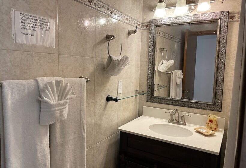 ホテル Hospedaje Mulege