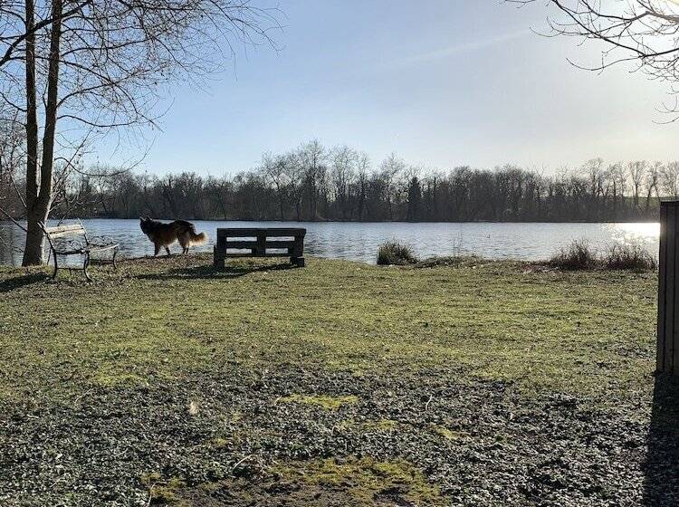 בית מלון כפרי Hôtel De L Ile Du Saussay