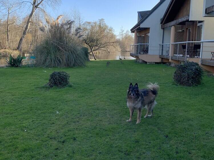 בית מלון כפרי Hôtel De L Ile Du Saussay