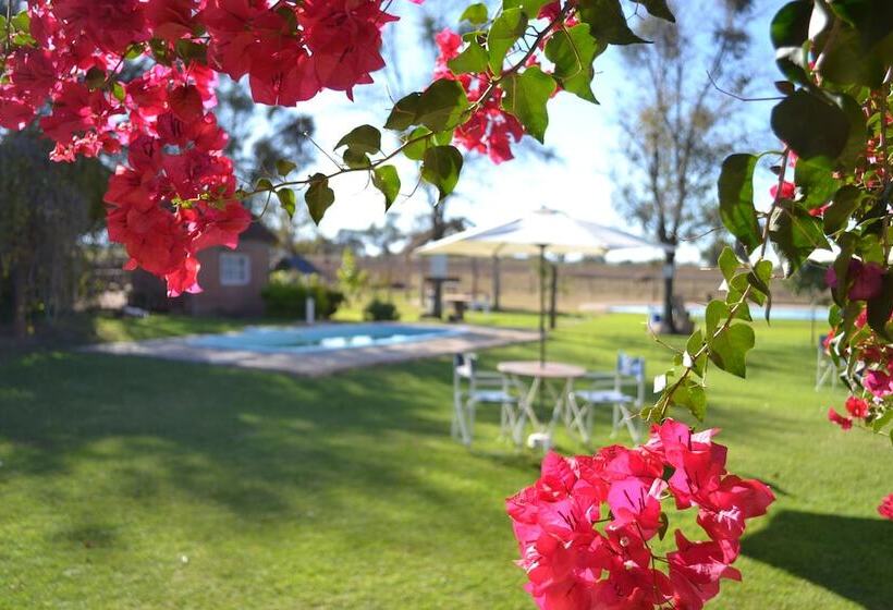 فندق La Posada De Juan