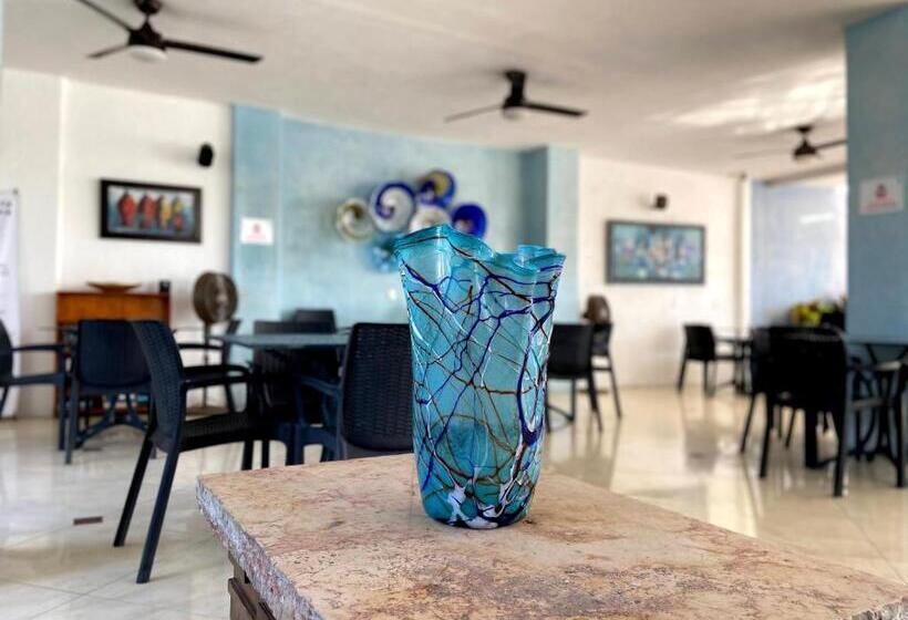 فندق Mar Celeste