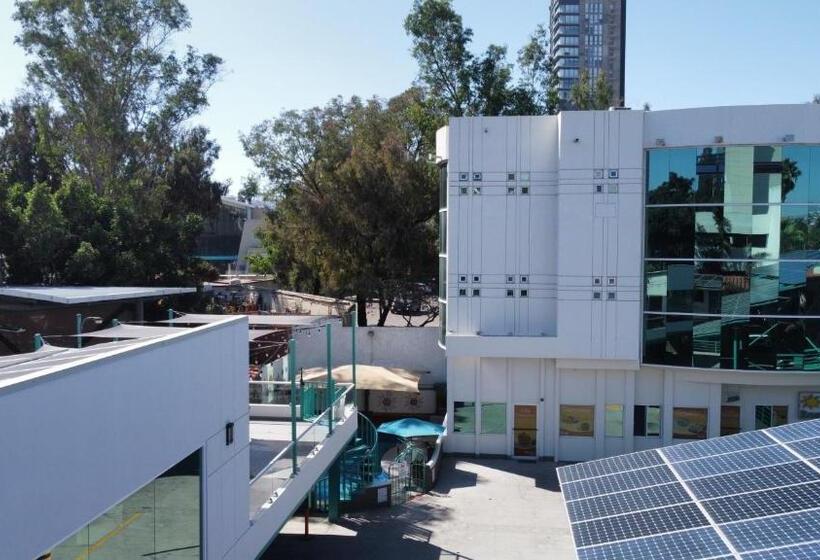 בית מלון כפרי Real Inn De Tijuana