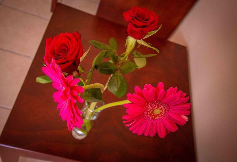 Отель Terraza San Pedrito