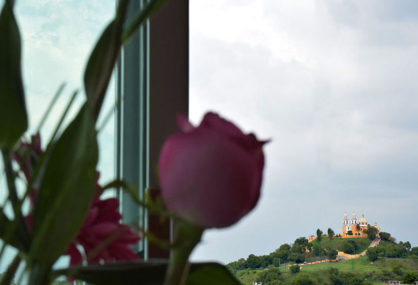 Отель Terraza San Pedrito