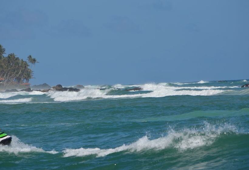 酒店 Thaproban Beach House