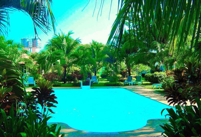 호텔 The Golddigger's Resort