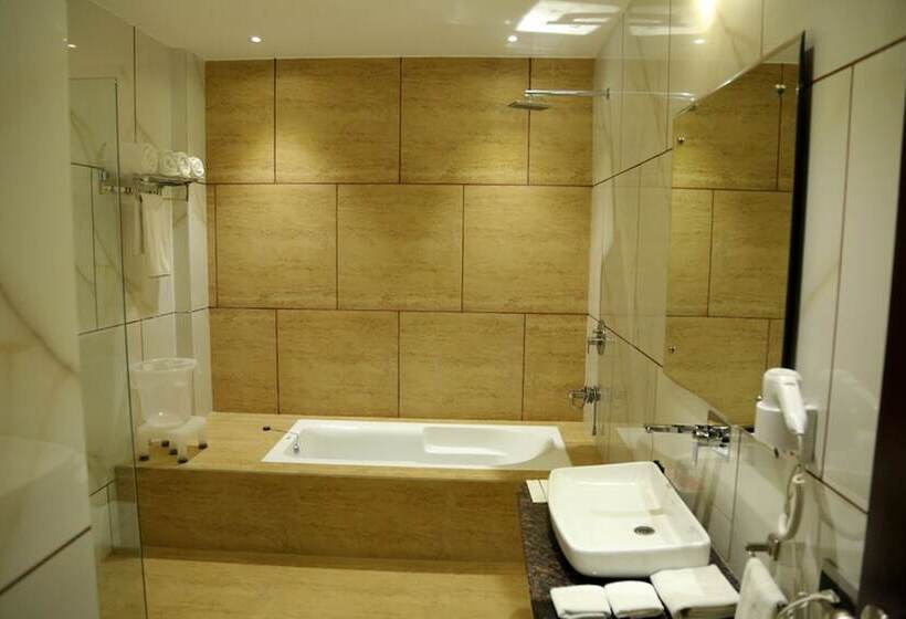 Отель The Royal Bharti