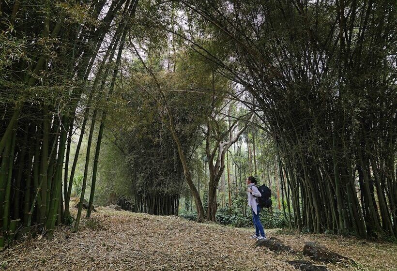 هتل The Serai Chickmagalur