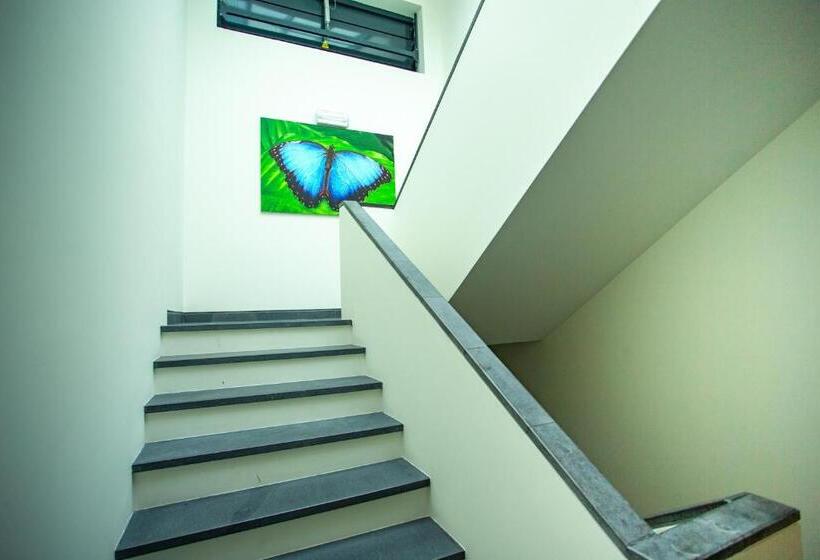 Отель Thomas Place