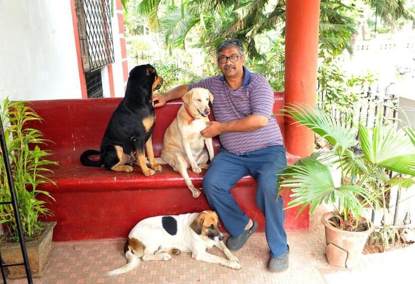 فندق Vivenda Rebelo