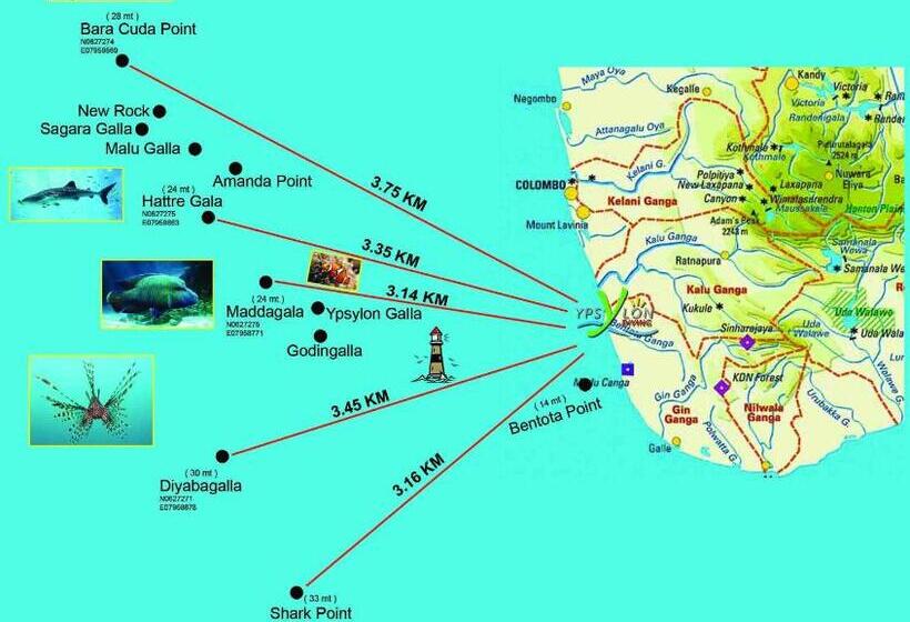 호텔 Ypsylon Tourist Resort