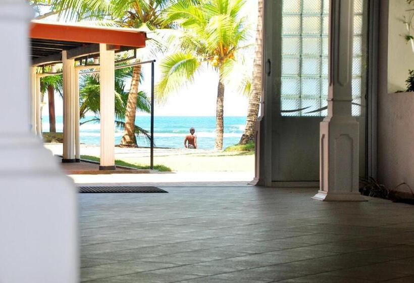 호텔 Ypsylon Tourist Resort