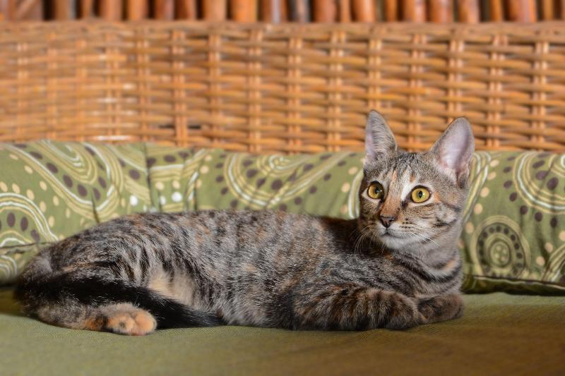 هتل Zentik Project & Saline Cave