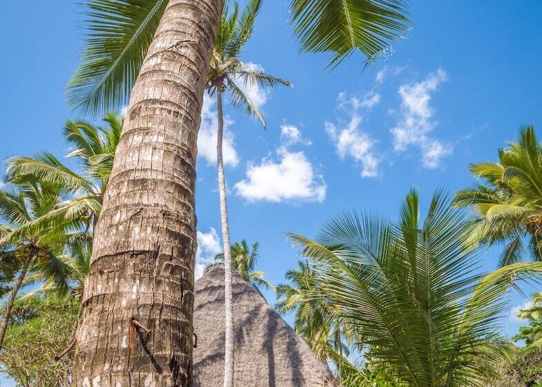 Kiwengwa Beach Resort