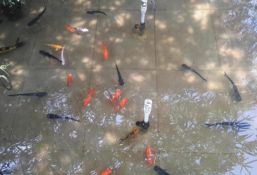 Mrugavani Resort & Spa