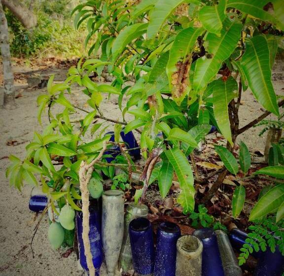 펜션 Achayans Homestay Mararikulam