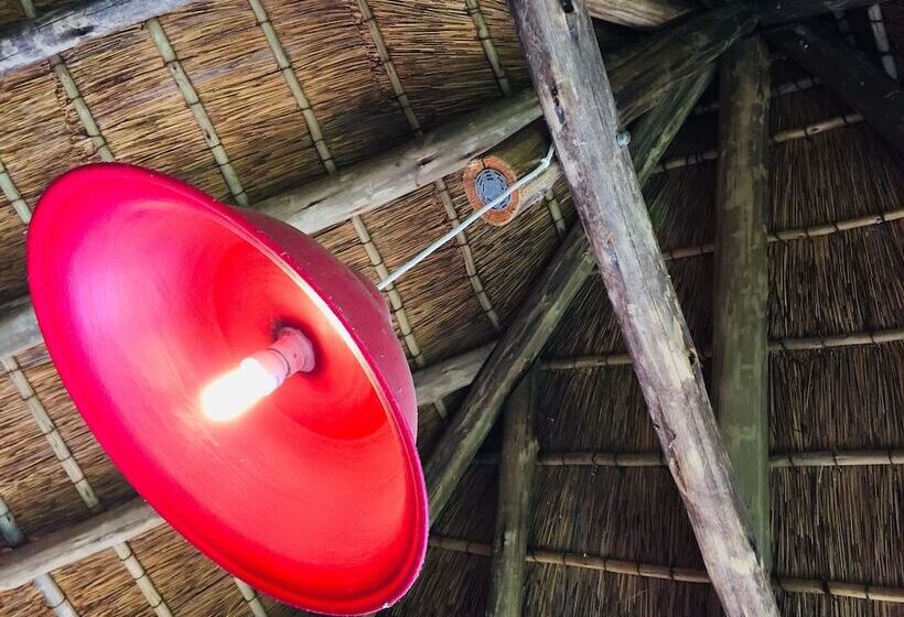 بنسيون Khayamanzi Guesthouse