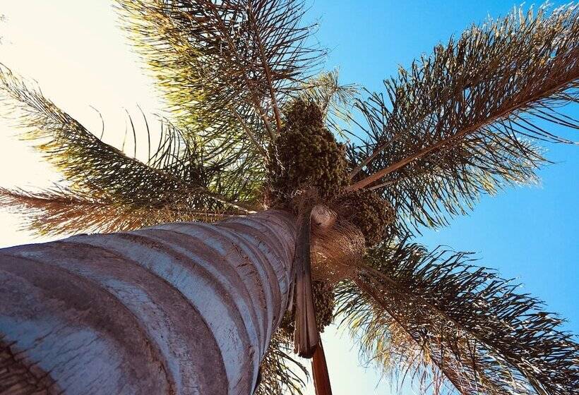 بنسيون Khayamanzi Guesthouse